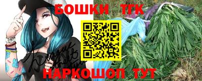 Альфа ПВП Можга