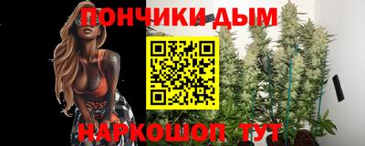 Альфа ПВП Можга