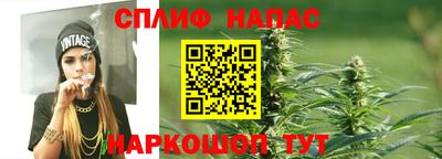 Альфа ПВП Можга