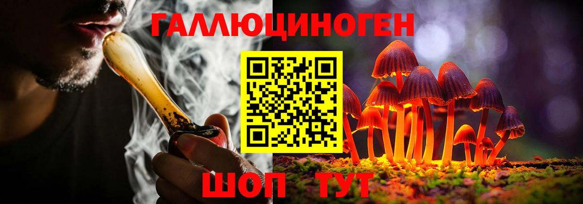 Псилоцибиновые грибы мухоморы Азов